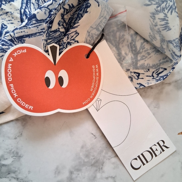 Cider Blue Toile fabric v neck Button up midi dress size medium NWT - Picture 6 of 9